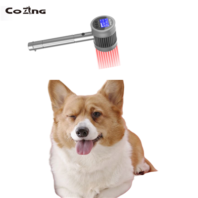 Điều trị bằng laser ở mức độ thấp cho chứng đau cơ xơ
